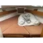 Used sailboat Fulmar