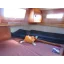 Used sailboat Great Dane 37