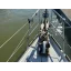 Used sailboat Singoalla 34