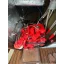 Used sailboat 840