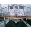 Used Yacht Capri 45