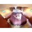 Used Yacht Prestige 36