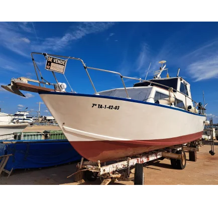Bateau à moteurs d'occasion Custom Built Construcción propia