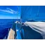 Used sailboat 545
