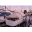 Used sailboat 545