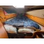 Used sailboat Sun Fizz 40