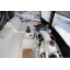 Used sailboat 4.2 Open Space