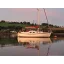Used sailboat 31