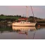 Used sailboat 31