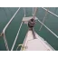 Used sailboat 37 Cruise