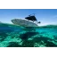 Used Yacht FE 22