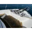 Used Yacht 64 Sunliner