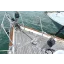 Used sailboat 56