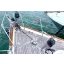 Used sailboat 56