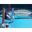 Used Yacht Continental