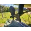 Used sailboat 425 CC