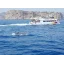 Used Yacht catamaran