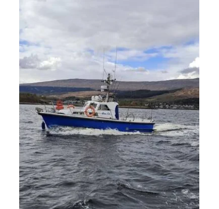 Used Motorboat Mitchell Marine 31 MKII