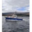 Used Yacht 31 MKII