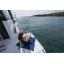 Used Yacht Merry Fisher 1295