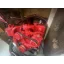 Used sailboat 30