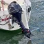 Used sailboat Horizon 26