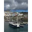 Used sailboat 51