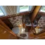 Used sailboat 31