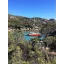 Used sailboat MATTIA 39 CATAMARAN