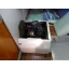 Used sailboat Sunway 25