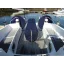 Used sailboat Sun Odyssey 49DS