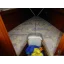 Used sailboat S31