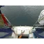 Used sailboat S31
