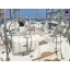 Used sailboat Sun Odyssey 42 DS