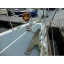 Used sailboat 31