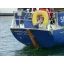 Used sailboat 31