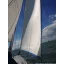 Used sailboat 312