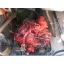 Used sailboat 26