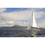 Used sailboat 531