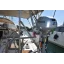 Used sailboat Cruiser 51