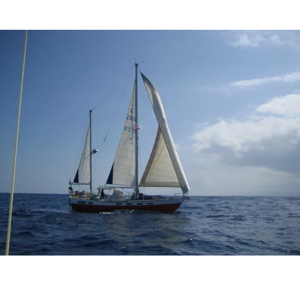 Used Sailboat Wauquiez Amphitrite