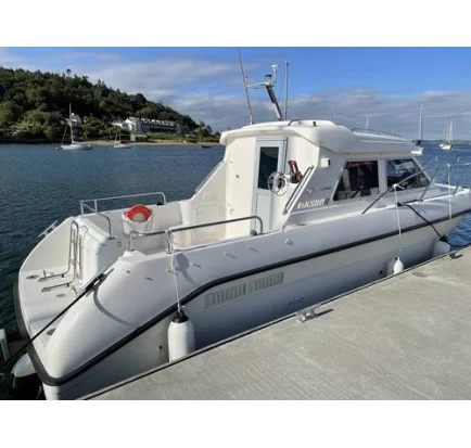 Used Motorboat Viksund 260 St Cruz