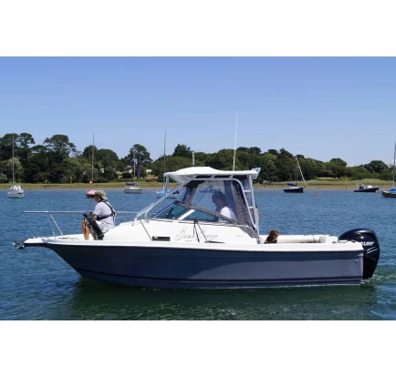 Bateau à moteurs d'occasion Bayliner Trophy 2102 walkaround