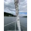 Used sailboat Atlanta 31