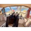 Used sailboat 465