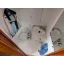 Used sailboat 41 Classic