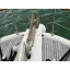 Used Yacht TARQUIN TRADER 41 2 TRAWLER