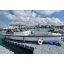 Used Yacht 28 T Top