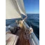 Used sailboat FISHING SMACK