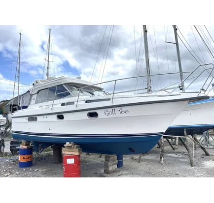 Used Motorboat Nimbus 310 Coupe